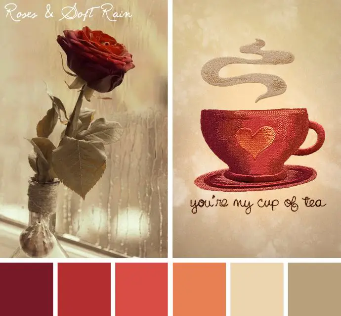 Colorway — Roses & Soft Rain